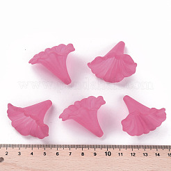 Прозрачные акриловые бусины&nbsp;X-BSF796-C16