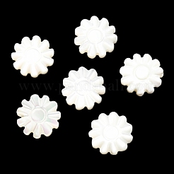 Бусины из натуральных трохоидных/трохус ракушек&nbsp;SSHEL-R145-01