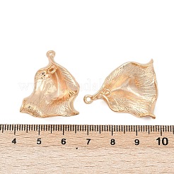 Латунные подвески&nbsp;KK-G532-09G