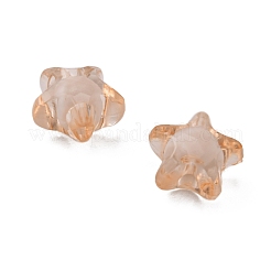 Прозрачные акриловые бусины&nbsp;TACR-S091-12mm-05