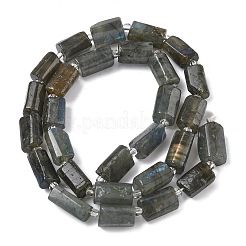 Природные лабрадорита бисер нитей&nbsp;G-C270-K19-02