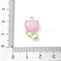 Подвески из эмали и сплава&nbsp;PALLOY-R151-45G-06