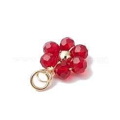 20шт 5 цвета стеклянные подвески&nbsp;PALLOY-JF02918