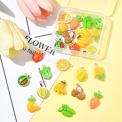 24шт 12 стиля непрозрачные подвески из смолы&nbsp;RESI-FS0002-07