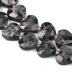 Натуральные нити бус из ларвикита G-P592-B05-01