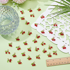 50шт подвески ручной работы лэмпворк&nbsp;LAMP-ME0001-25