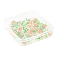 20 шт. 2-х цветные стеклянные и акриловые подвески&nbsp;PALLOY-FS00051