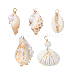 20 шт. подвески из натуральных ракушек в 5 стилях&nbsp;FIND-SC0015-65