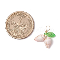 12 шт. 4 стиля подвески из натуральной морской ракушки в медной проволоке&nbsp;PALLOY-JF03611