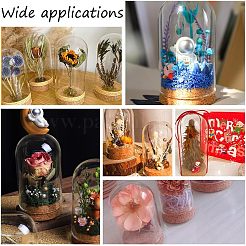 Купол из высокопрочного боросиликатного стекла&nbsp;DJEW-NB0001-22