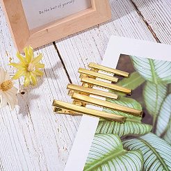 Железные плоские заколки-пеликаны&nbsp;IFIN-PH0023-65G