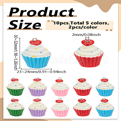 10шт 5 цвета подвески из смолы&nbsp;RESI-LP0001-55