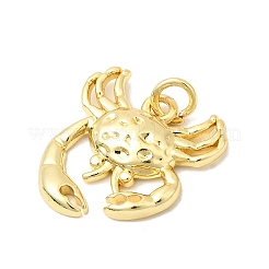 Латунные подвески&nbsp;KK-P343-04G