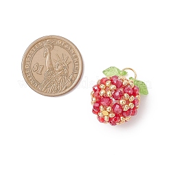 Подвески из акрила и стеклянных бусин&nbsp;PALLOY-MZ00880-01