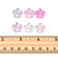 216 шт. 6 вида прозрачных акриловых бусин&nbsp;PACR-FS0001-05