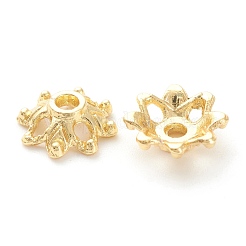 Крышки бусинок цветка сплава покрытия стойки&nbsp;KK-J277-08G