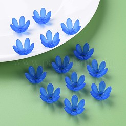 Прозрачные акриловые бусины MACR-S373-47-D