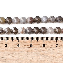 Природные Ботсвана агат бисер нитей&nbsp;G-P611-C08-01