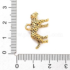 Подвески из сплава в тибетском стиле&nbsp;FIND-G077-02AG