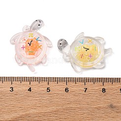 Светящиеся прозрачные акриловые подвески&nbsp;TACR-P010-02