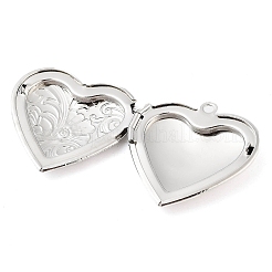 Подвески латуни медальон&nbsp;KK-M263-01P