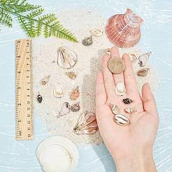 Гальванизированные спиральные ракушки и подвески из ракушек каури&nbsp;SSHEL-SC0001-12