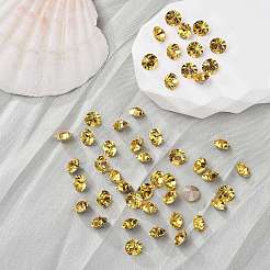 Preciosa® maxima кристалл круглые камни&nbsp;Y-PRC-RBSS6-10020