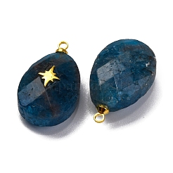 Натуральный апатит подвеска&nbsp;G-B089-01G-03