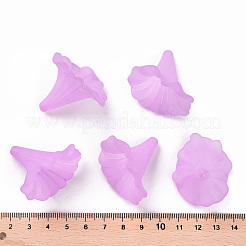 Прозрачные акриловые бусины&nbsp;X-BSF796-C08