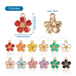 72 шт. 12 цвета экологически чистые подвески из цинкового сплава&nbsp;FIND-CD0001-20