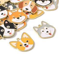 18шт 9 стиля подвески из сплава с эмалью&nbsp;ENAM-FS0003-63