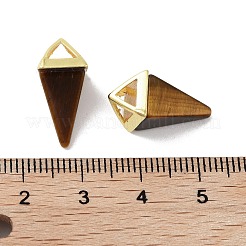 Природных тигровый глаз подвески&nbsp;G-A222-02G-05