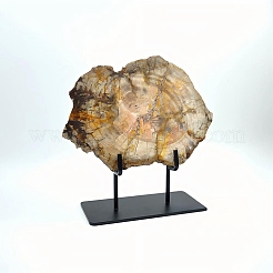 Натуральный окаменевший срез древесины на черной железной подставке&nbsp;AJEW-H157-02