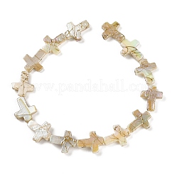 Нити строковые бусины из натуральных пресноводных ракушек&nbsp;X1-BSHE-G036-01