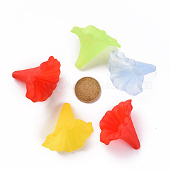 Прозрачные акриловые бусины&nbsp;BSF796M