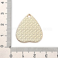 Подвески из эмали и сплава&nbsp;FIND-V001-01G-03