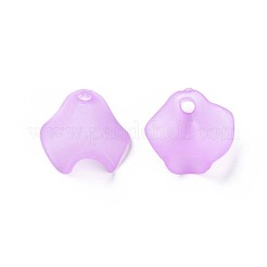 Прозрачные акриловые бусины&nbsp;MACR-S373-106-D03