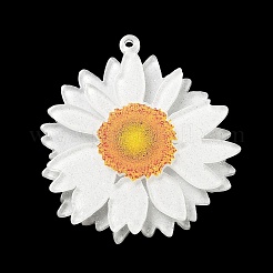 Подвески из прозрачного акрила с принтом&nbsp;X-SACR-P029-B01