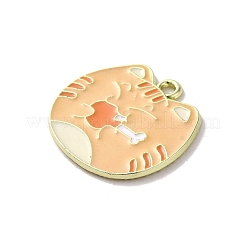 Подвески из эмали и сплава&nbsp;FIND-Z034-01A