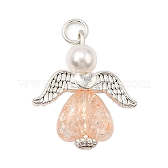 Прозрачные акриловые подвески треск&nbsp;PALLOY-JF04107