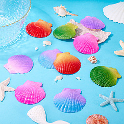 10 шт. большие подвески из натуральной ракушки гребешка&nbsp;SSHEL-TA0001-23