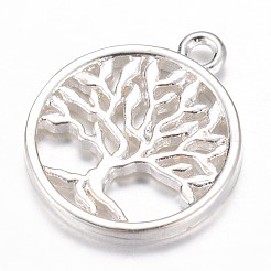 Латунные подвески&nbsp;KK-P036-11S