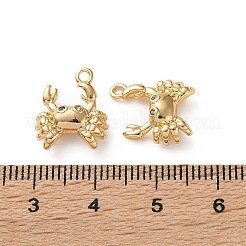 Подвески из латуни с микропаве и прозрачными кубическими циркониями в морской тематике&nbsp;KK-L266-02I-G