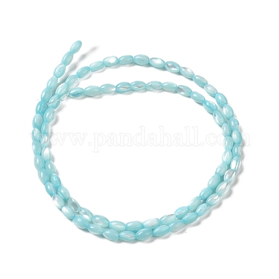 Нити бусин из натуральной ракушки трохус&nbsp;SHEL-K006-19D-1