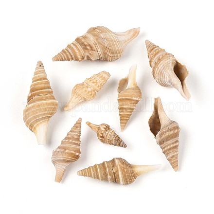 Натуральные спиральные бусы из ракушек SSHEL-N040-03-1