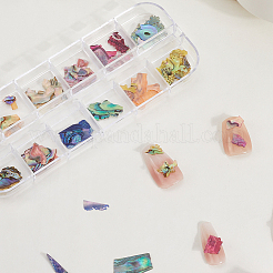 1 набор двухцветных ломтиков ракушек&nbsp;MRMJ-SP0001-05A