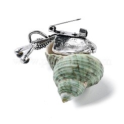 Улитка зеленая натуральная раковина ископаемая брошь булавка&nbsp;JEWB-A020-01AS-01