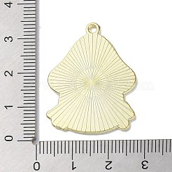 Сплав цинка кулон&nbsp;ENAM-Z009-02E-LG