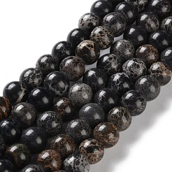 Нити бусин из окрашенного натурального регалита/императорской яшмы/морского осадка яшмы&nbsp;G-B124-C01