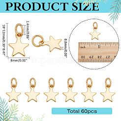 60 шт. подвески из нержавеющей стали 304&nbsp;PALLOY-ME00005